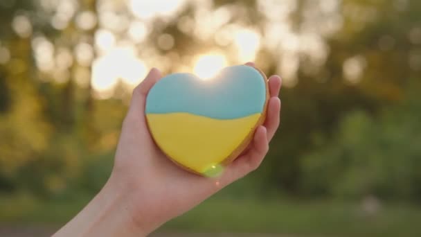 Gingerbread in the shape of a heart with the flag of Ukraine in a womans hand against the background of the evening forest. Solidarity, love, support concept.
