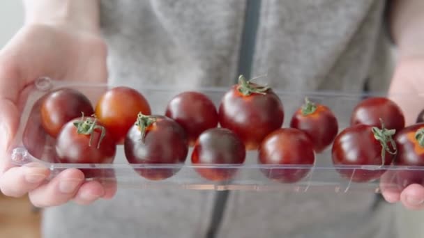 Mulher Mostra Tomates Coquetel Preto Orgânico Uma Caixa Plástico Close — Vídeo de Stock