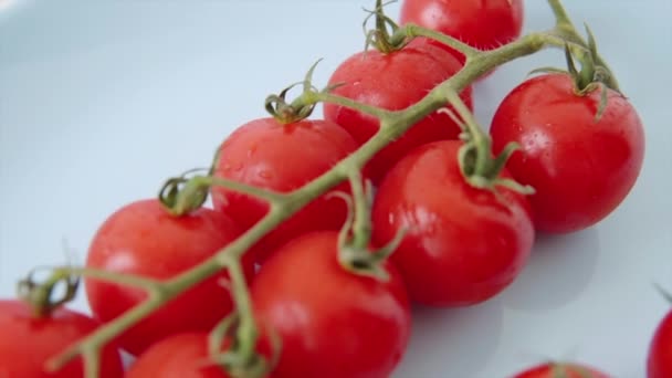 Organic Red Cherry Tomatoes Big Blue Plate High Quality Footage — Vídeo de Stock