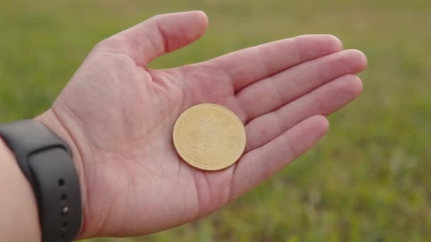 Gold Coin Bitcoin Palm Businessman Symbol Cryptocurrency Background Green Lawn — Stock Video