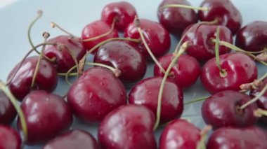 Gimbal shot of a red fresh ripe cherries on a blue plate. Fresh spring berries, farm harvest. Closeup view..