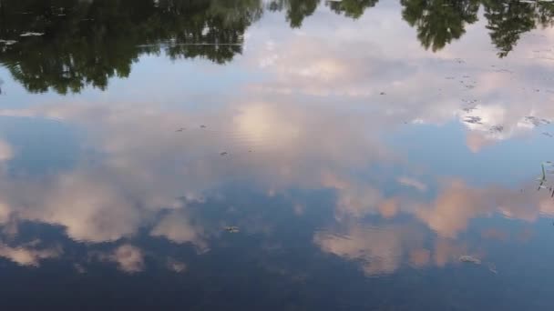 Fluffy Clouds Evening Sky Reflected Water Surface River Footage — Stockvideo