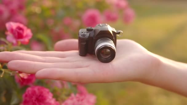 Small Toy Camera Palm Girl Backdrop Sunset Flowers Street Travel — 图库视频影像