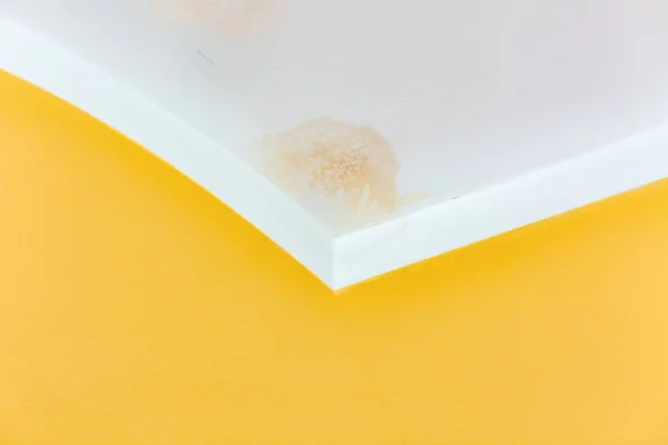 Mold Smudges Ceiling New House Yellow Walls Concept Repair Renovation — Stockfoto