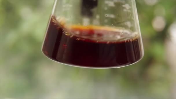 Barista Mixing Coffee Alternative Methods Brewing Coffee High Quality Footage — Vídeos de Stock