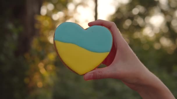 Woman Holds Heart Gingerbread Flag Ukraine Background Evening Forest Solidarity — стоковое видео