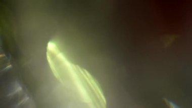 Colorful bokeh futuristic psychedelic iridescent background. Creative transformations for your video. 