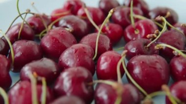 Red fresh ripe Ukrainian cherries on a blue plate. Fresh berries, eco farm harvest. Closeup view.
