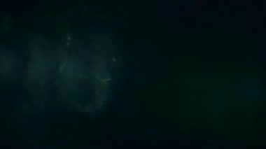 Multicolored highlights futuristic trendy glittering background. Footage in 4k for your needs. 