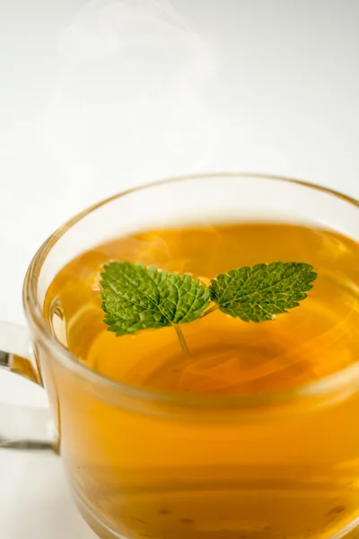 Tea with mint leaf — Stock Photo, Image