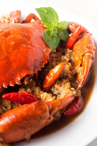 Chili krabbe – stockfoto