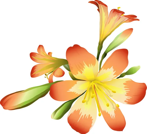 Flores freesia — Vetor de Stock