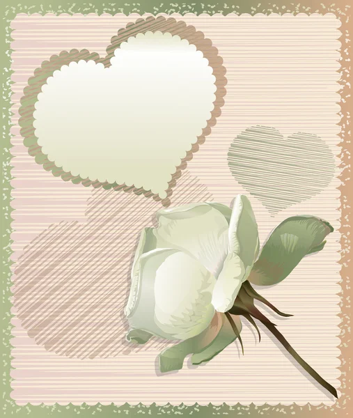 White rose and heart frame. Vector Illustration. — Stock Vector