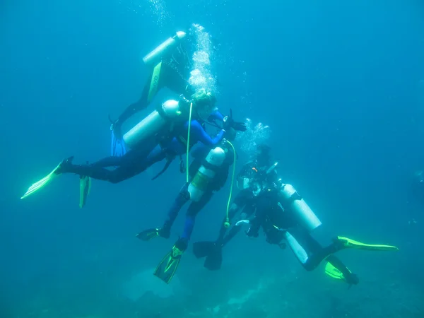 De duikers in Indische Oceaan duiken — Stockfoto