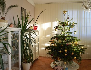 Evde Noel ağacı