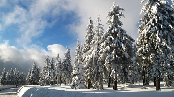 Krušné hory mountain in the Czech republic — Stockfoto