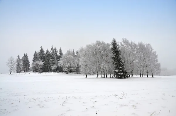 Çek Cumhuriyeti'nde kış manzarası