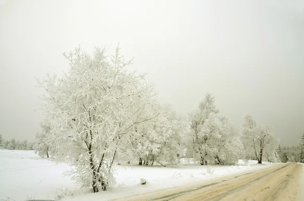 Zimowy krajobraz w Republice Czeskiej — Zdjęcie stockowe