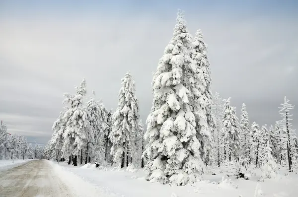 Paesaggio invernale nella Repubblica Ceca — Foto Stock