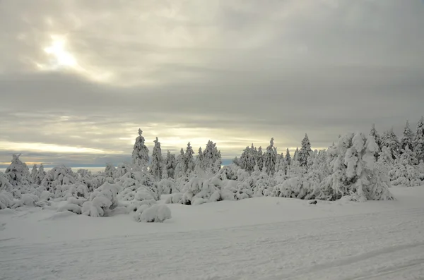 Winter landscape in the Czech republic — Stock Photo, Image