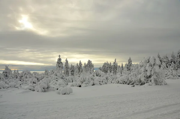 Winterlandschap in de Tsjechische Republiek — Stockfoto