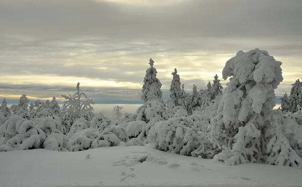 Paisaje invernal en la República Checa — Foto de Stock