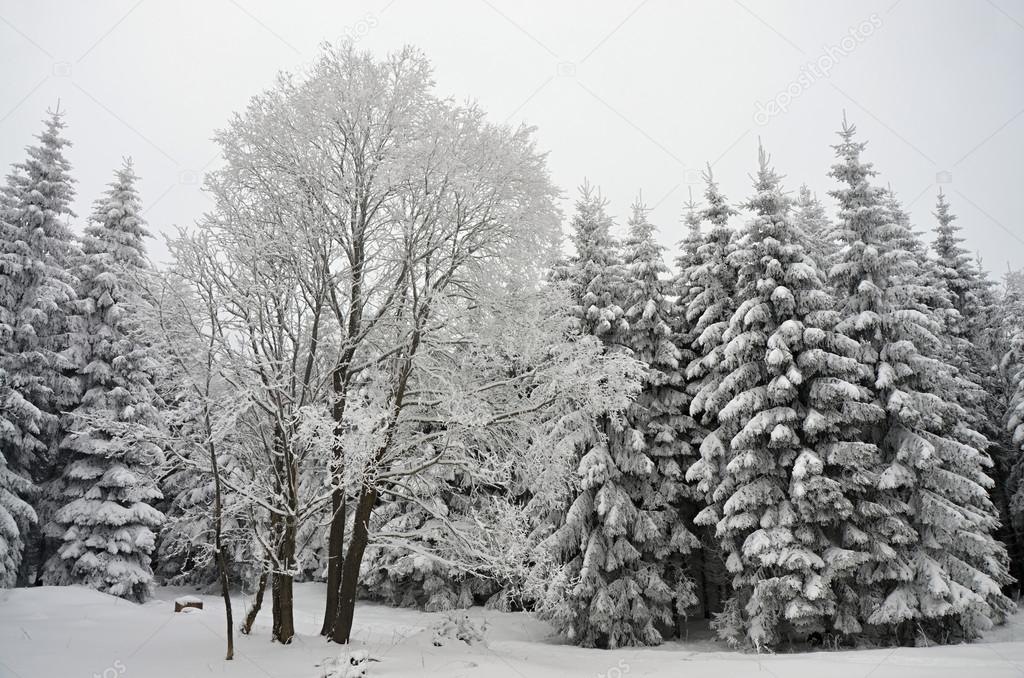 Winter landscape in the Czech republic
