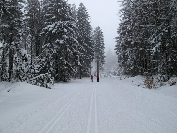 Invierno en la cruz de madera esquí de fondo —  Fotos de Stock
