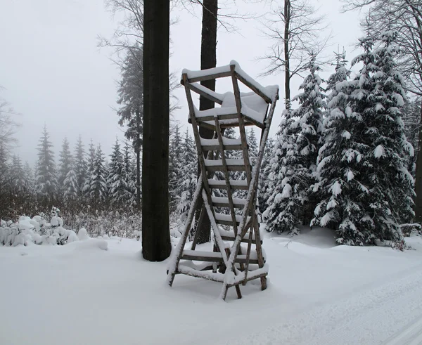 Invierno madera — Foto de Stock