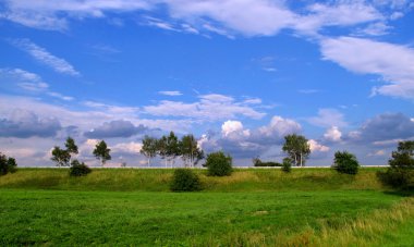 Çek Cumhuriyeti'nde doğada yaz