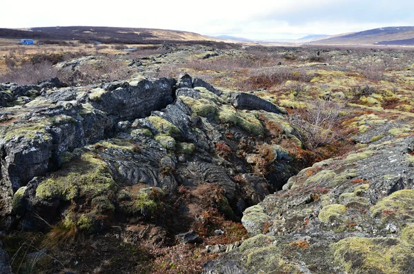 在冰岛的火山熔岩 — 图库照片