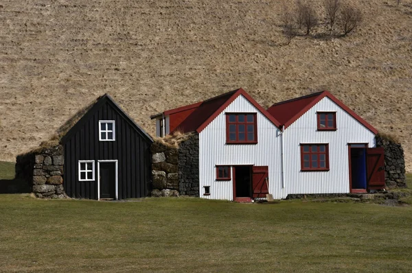 Overwoekerd oude typische landelijke IJslands huizen open lucht museum — Stockfoto