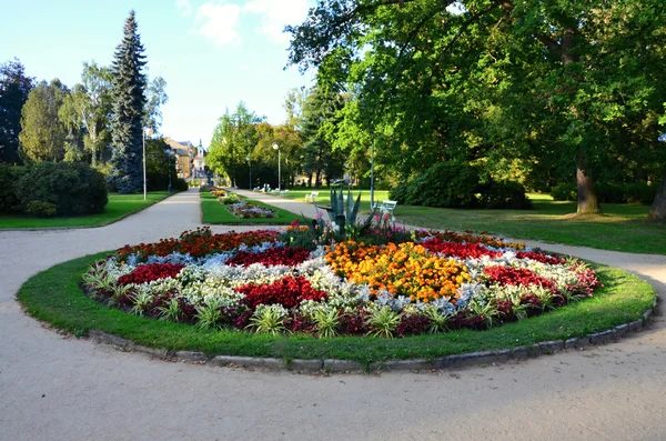 Zona pedonale in spa Franzensbad con aiuole fiorite — Foto Stock