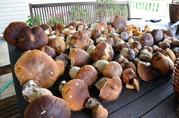 Edible mushrooms stored on the wooden table — Stock Photo, Image