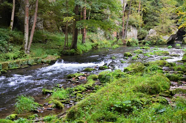 Річка місті kamenice в національному парку Чеська Швейцарія — стокове фото