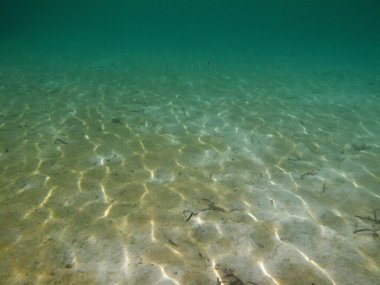 Hint Okyanusu maledives güneşli turkuaz kumlu Deniz dibinde