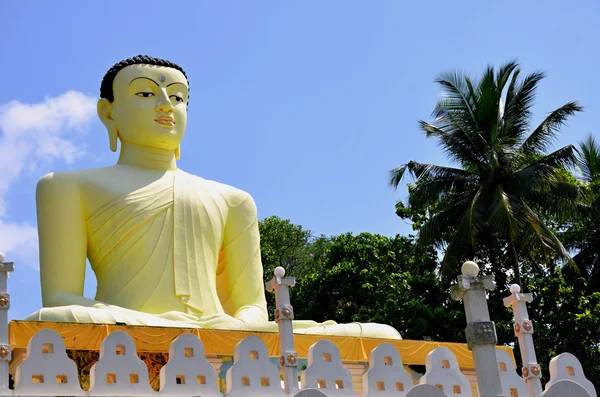 Statue o Bouddha au Sri Lanka — Photo