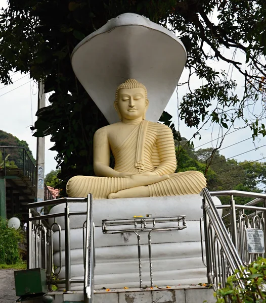 Staty o buddha i sri lanka — Stockfoto