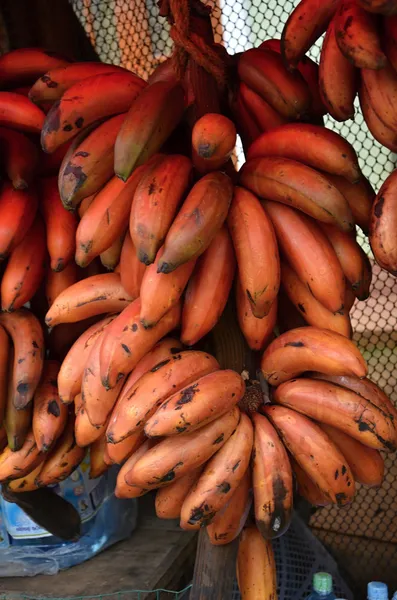 Kilka czerwonych banans na rynku w kandy, sri lanka — Zdjęcie stockowe