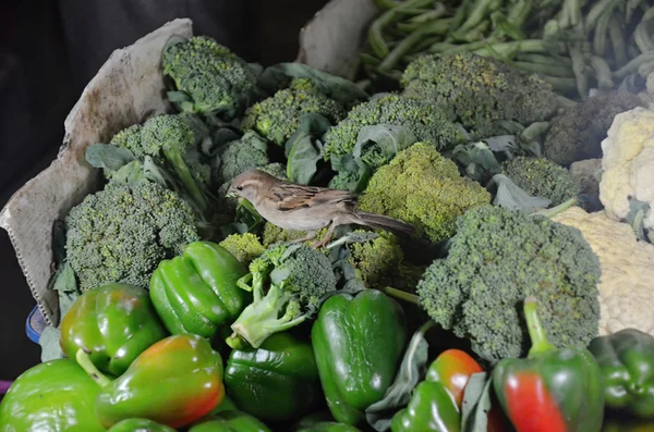 Овощи на рынке Шри-Ланки — стоковое фото