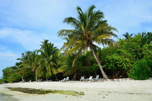 白色的沙滩，印度洋马尔代夫椰城 — 图库照片