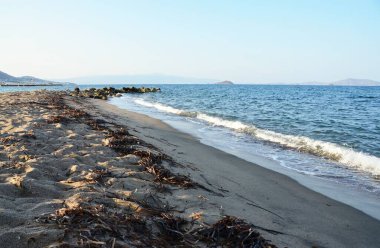 Türkiye 'deki Turgutreis limanı Bodrum Yarımadası, Mula İlçesi,