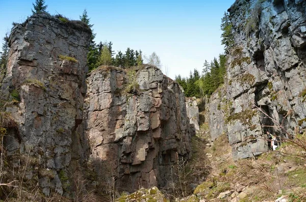 Wolf Pozzi Vicino Villaggio Blatn Ore Montagne Una Vista Abisso — Foto Stock