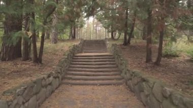 Sarı, turuncu ve yeşil yapraklı yürüyüş yolunun güzel sonbahar manzarası. Sonbahar mevsiminde merdivenlerden çıkıp düşen yaprakların arasına park etmek. Sağlıklı yaşam tarzı kavramı. Sezon 4k