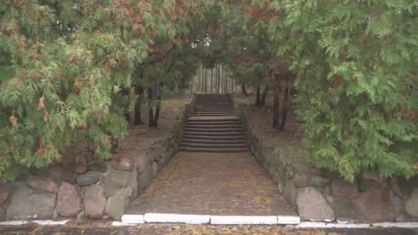 Una hermosa vista otoñal de un sendero con hojas amarillas, naranjas y verdes. Subiendo las escaleras en otoño bosque parque de otoño entre hojas caídas. El concepto de un estilo de vida saludable. Estaciones 4k — Vídeos de Stock