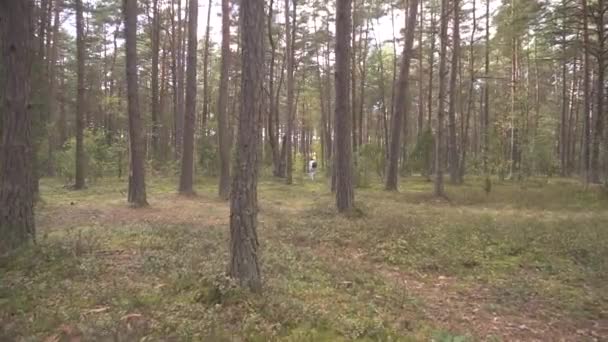 Traveler femme dans une veste blanche avec sac à dos recueille des champignons comestibles et des baies. Concept de personne s'est perdu et à la recherche d'une direction pour aller. Désespoir, elle est seule. Voyage dans la nature 4k — Video