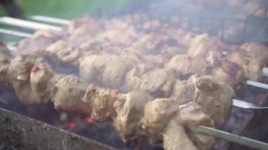 Barbeküde ızgara lezzetli yemeklere yakın çekim. Doğada lezzetli şiş kebap pişirme süreci. BBC 'deki metal şişte lezzetli yemekler. Piknik zamanı. Sokak yemeği. Yemek festivali. Kazıkta domuz eti