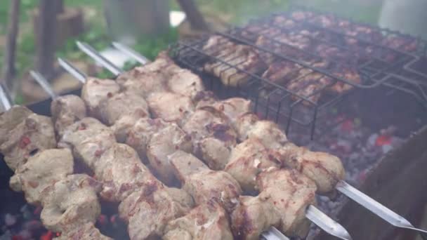 Nahaufnahme vom Grillen leckeres Gericht auf dem Grill. Prozess der Zubereitung leckerer Schaschlik in der Natur. Leckeres Essen auf Metallspieß im Grill. Zeit für ein Picknick. Streetfood. Food Festival. Schweinefleisch am Scheiterhaufen — Stockvideo