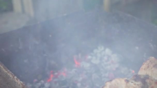 Close-up dari grilling hidangan lezat pada barbekyu. Proses memasak yummy shashlik di alam. Makanan lezat pada tusuk sate logam di bbq. Waktunya berpiknik. Makanan jalanan. Festival makanan. Daging di tiang pancang — Stok Video