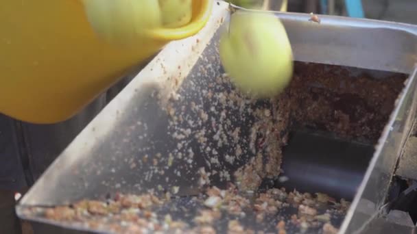 Closeup άνθρωπος χρησιμοποιεί συλλέγονται φρέσκα μήλα για σύνθλιψη σε λείανση κουτί πριν από τη συμπίεση σε ξύλινη πρέσα για την παραγωγή μηλίτη στο χωριό. Βιταμίνη φρούτων. Πρώτες vegan χορτοφάγος έννοια υγιεινής διατροφής 4k — Αρχείο Βίντεο